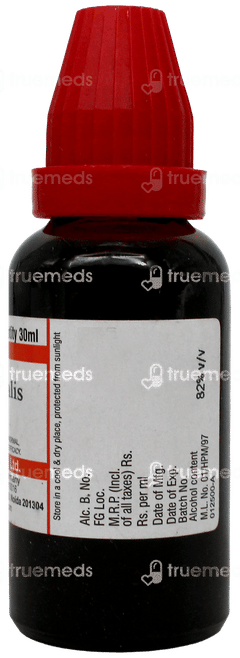 Dr Willmar Schwabe Thuja Occidentalis Q Mother Tincture 30Ml